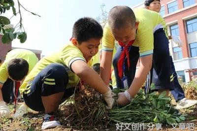 劳动能为我们创造快乐