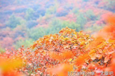 悟秋