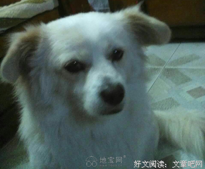 好想你牵我 走在回家路