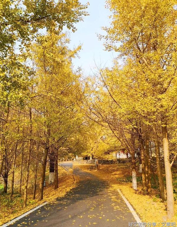 【山西省潞城经开区】金秋国庆 金色的园区