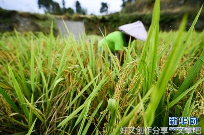 恩施.来凤旅行记