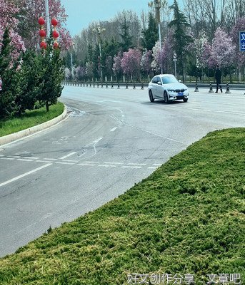 《路边那些摊位》