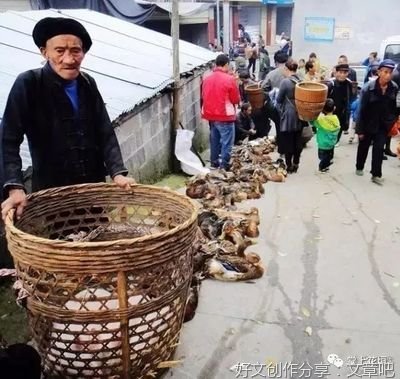 《粮店工作趣事》
