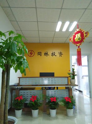过同林大桥