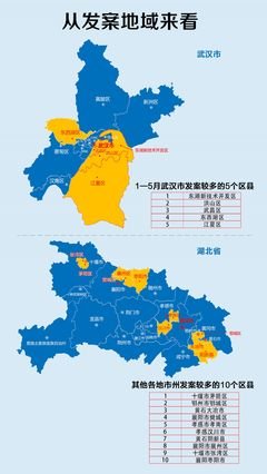  整治电信网络诈骗，关键要靠“法”