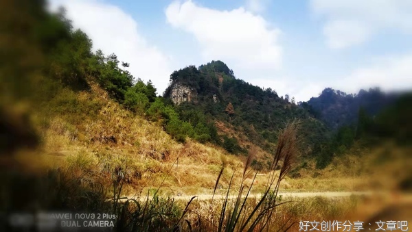 转弯的小路