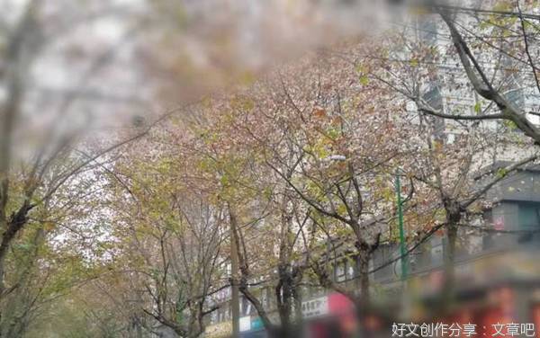 远方的牵挂