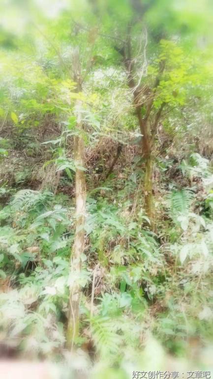 与师兄一起去挑水