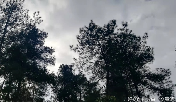 后厨的工作
