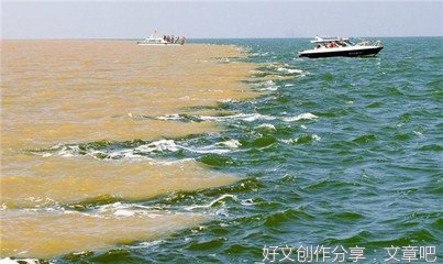  跟随总书记的脚步 在入海口看壮阔黄河的绿与亲切