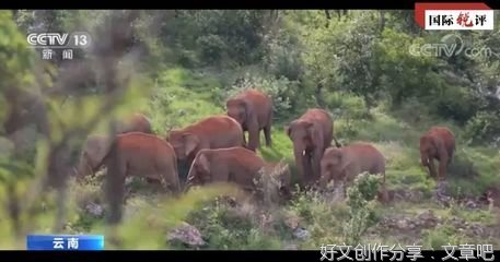 构建地球生命共同体 “中国主张”指明方向贡献力量