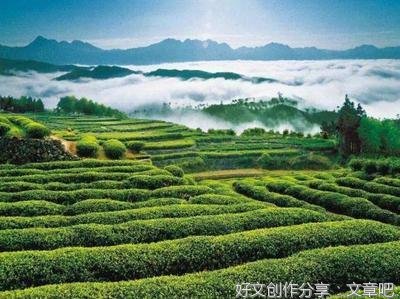 育才聚才 助力乡村全面振兴