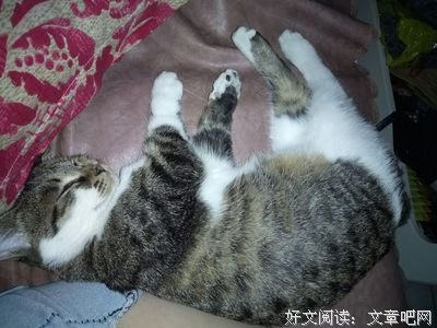那种失而复得的心情