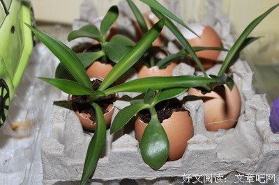 生活情趣