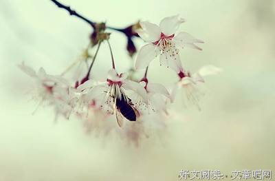 归燕欢啼，唱暖情