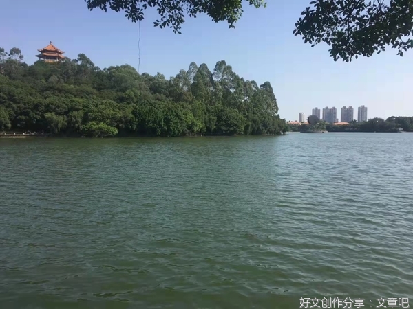 8 虎英湖畔