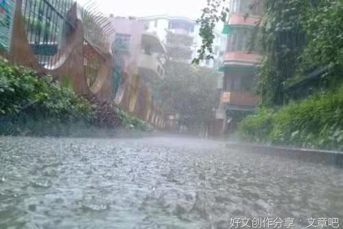 51 落雨之后