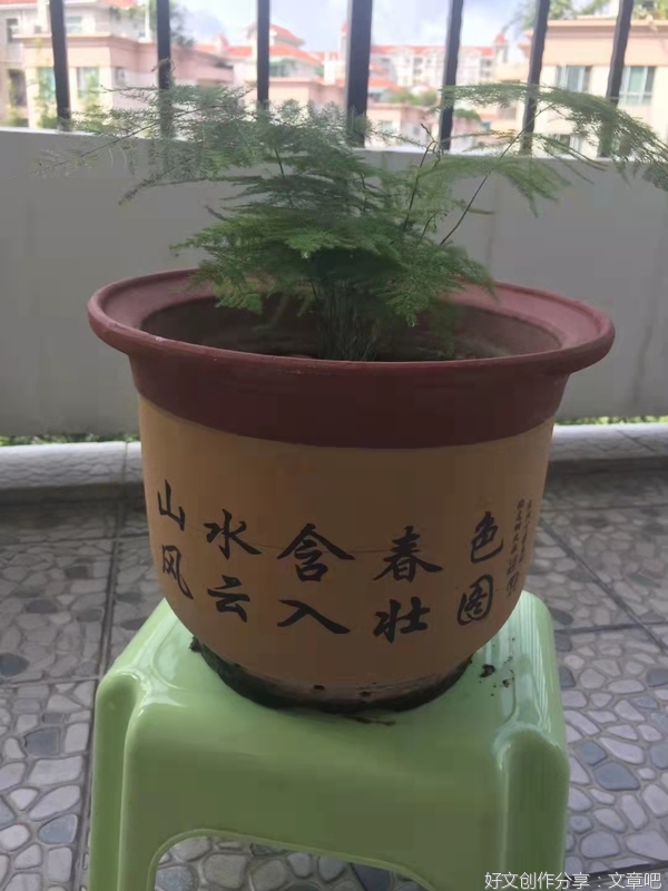 59 认识自己