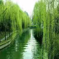 第一章 蓦然回首，一片风景 （三）
