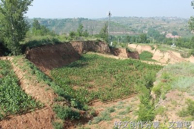 第一章 蓦然回首，一片风景 （一）