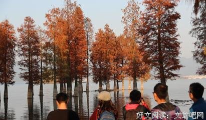 留下这美好季节的一片景色