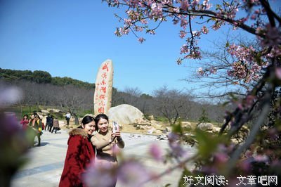一丝春的温暖