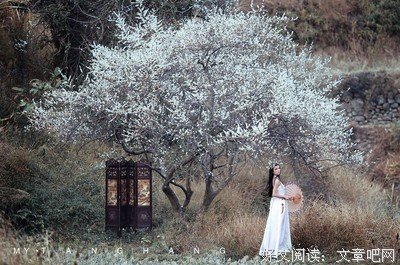 蹄声碎碎百花开