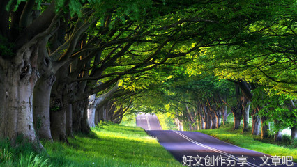  心态好是永恒的万灵药