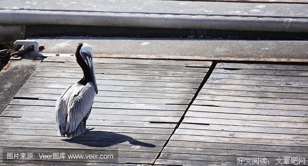 累时歇息的港湾