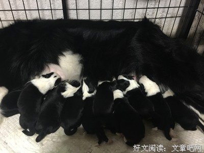 我真的好感动