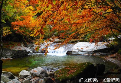 亲爱的婉秋
