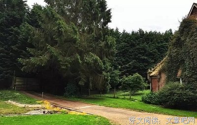 他是咱的接班人