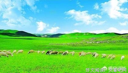 夜沾银露入梦乡