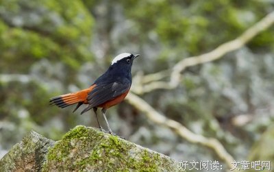 听风观雨
