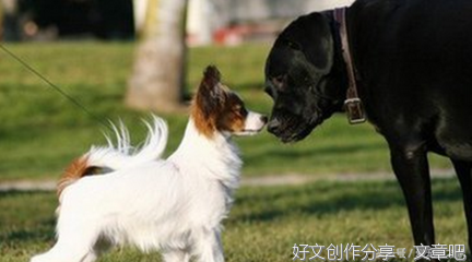 触觉知多少