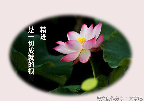 善事，一定要往前赶着做