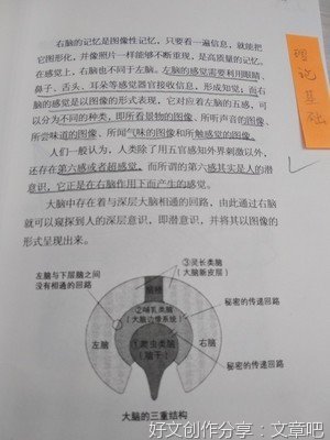 阅读笔记