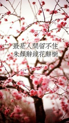 不相思，害相思