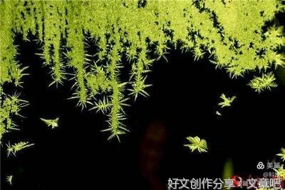 听歌有感鹧鸪天