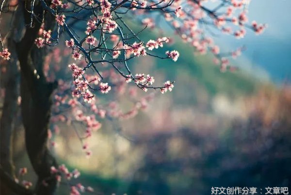 青春美过人间四月天
