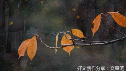 秋雨