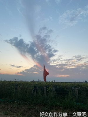 故乡的天空