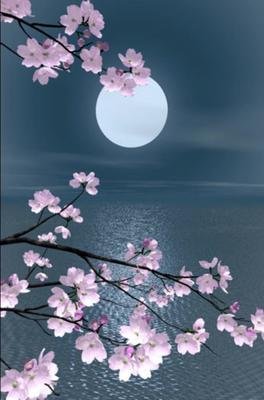 月夜