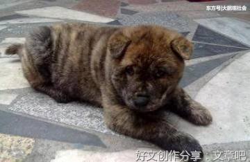 饭后慢逛之闲情逸致