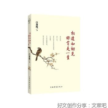 回首落梅