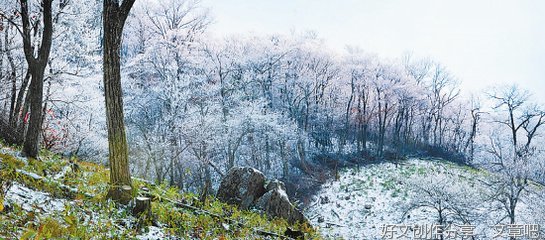 初雪