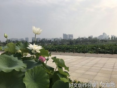 九曲河一日游