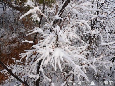 深冬的雪