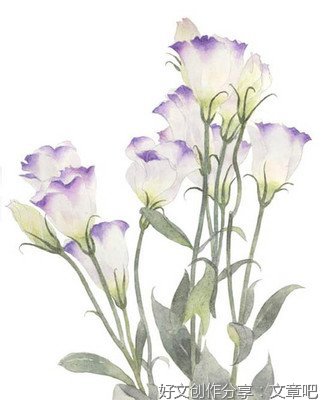 花事