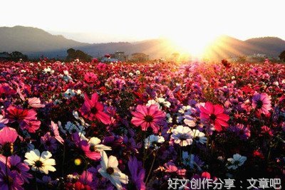 人生如花